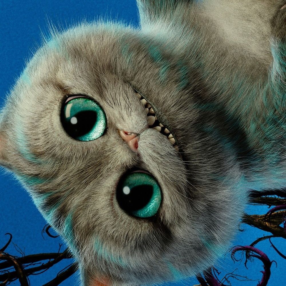ちしゃねこ