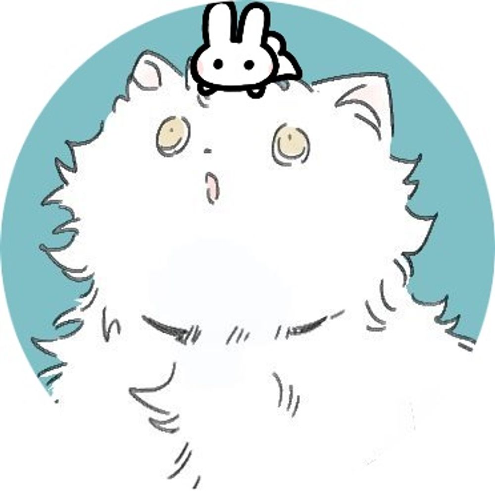月苗🐰