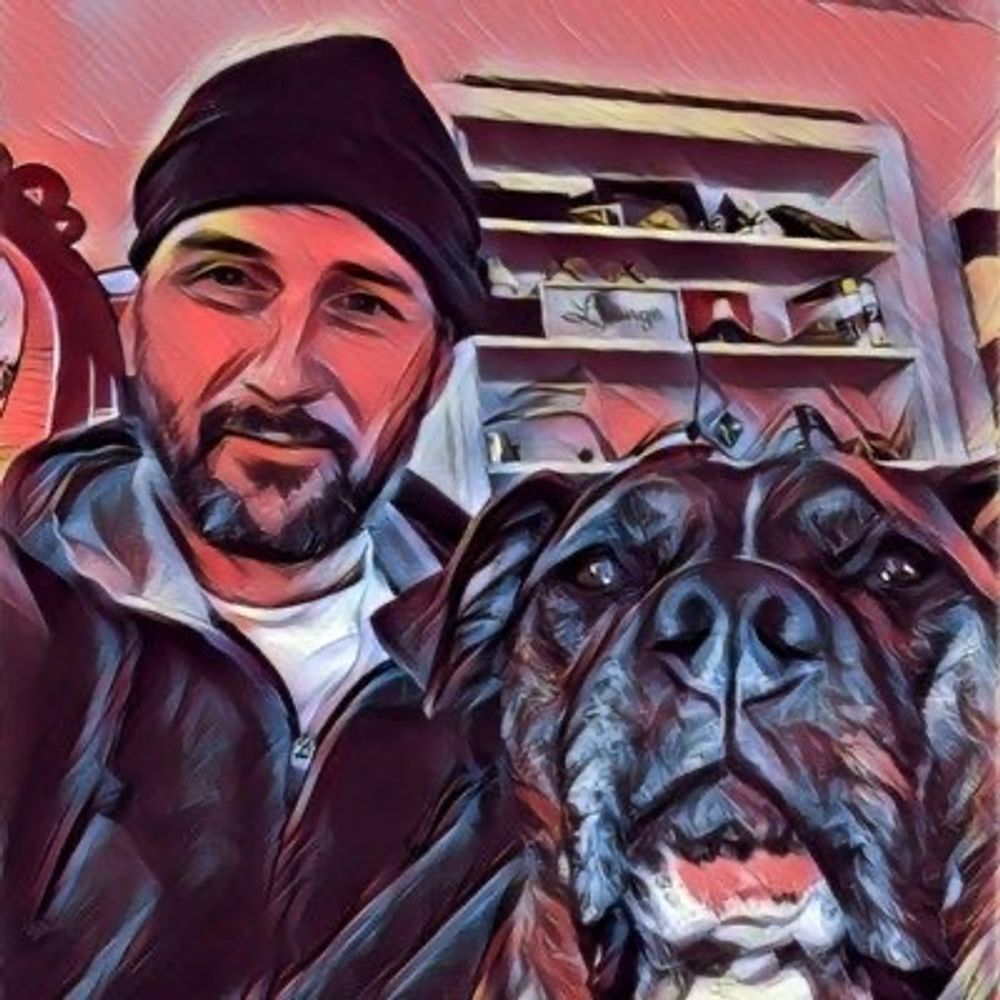 TheOrangedog
