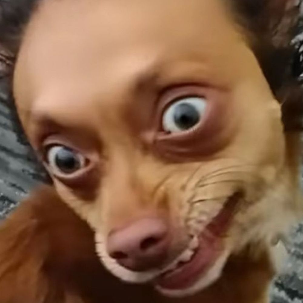 madu