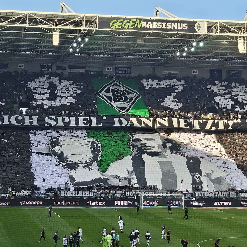 Dibbegugger 📯🖤🤍💚