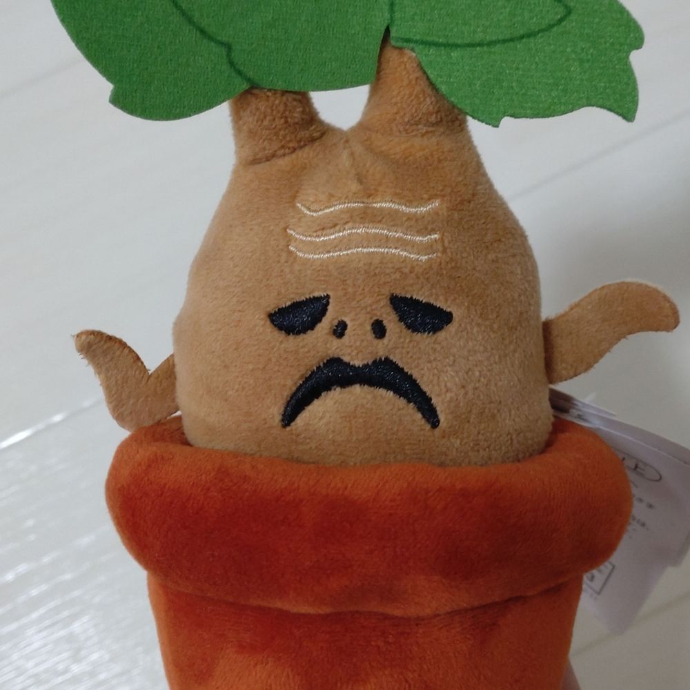 マンドラゴラ棗