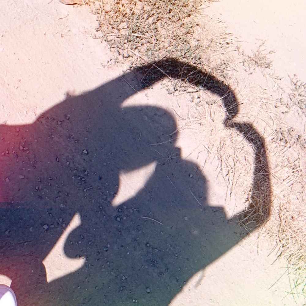 ᥫ᭡ella၇͜🦋 ᪲合