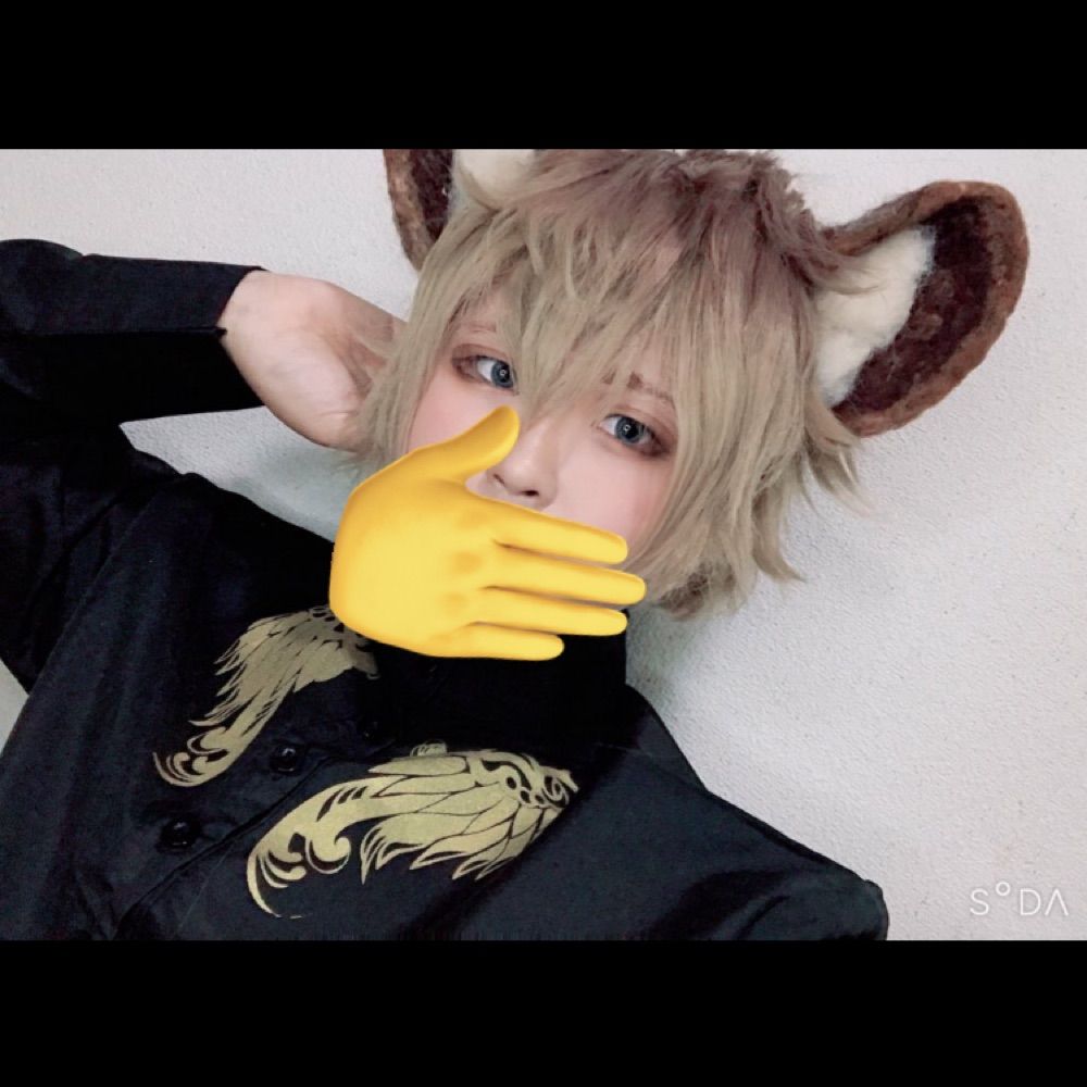 熨斗/のし