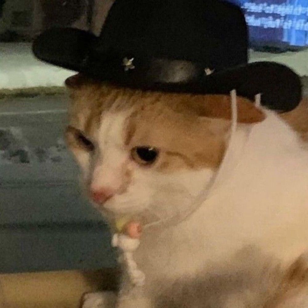 cowcat 