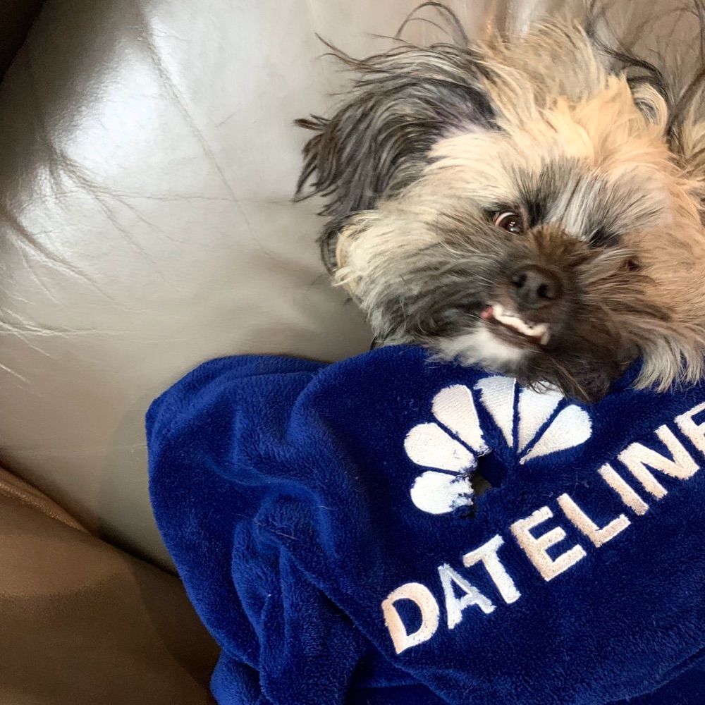 Dateline Dawgs
