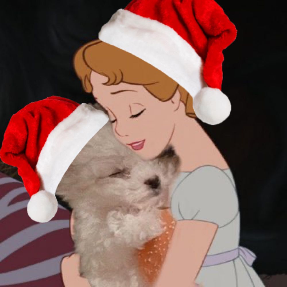 suni素妮 🧸✨