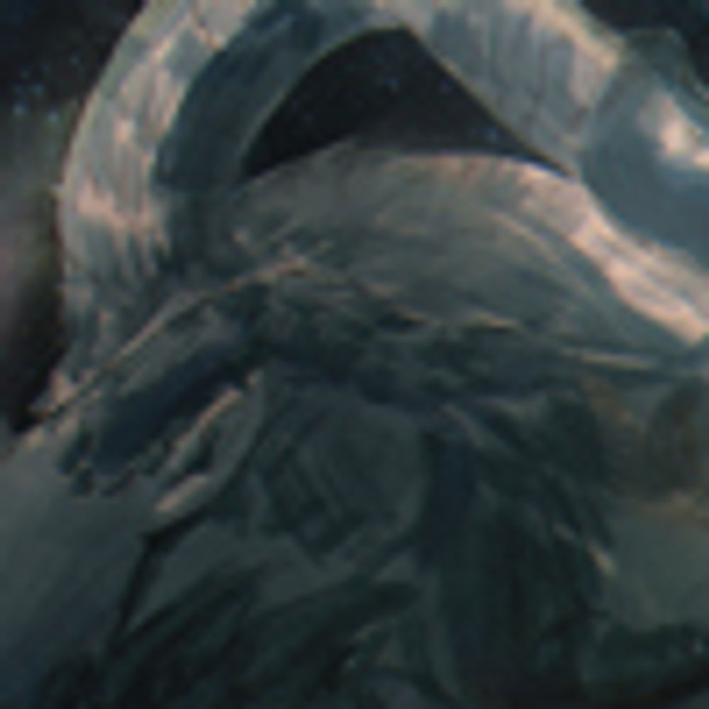 EroticNebula