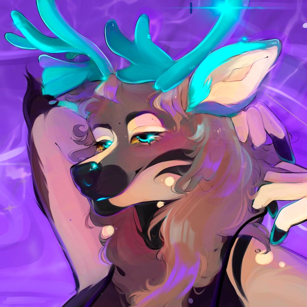 amoof 🌙 @ fwa