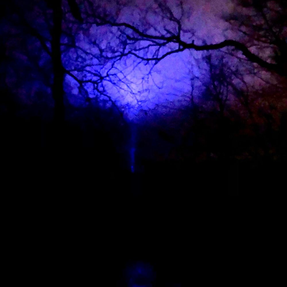 New Shoegaze