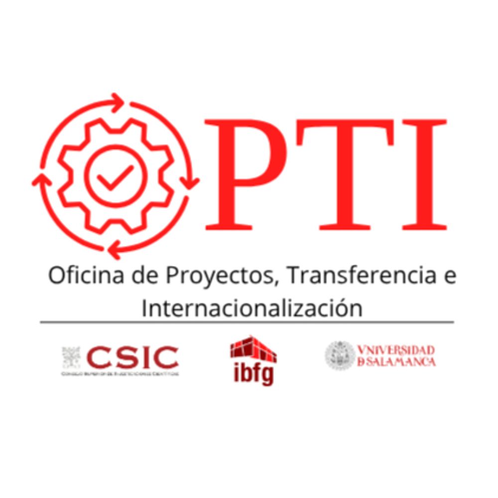 Projects, Transfer and Internationalisation Office - IBFG