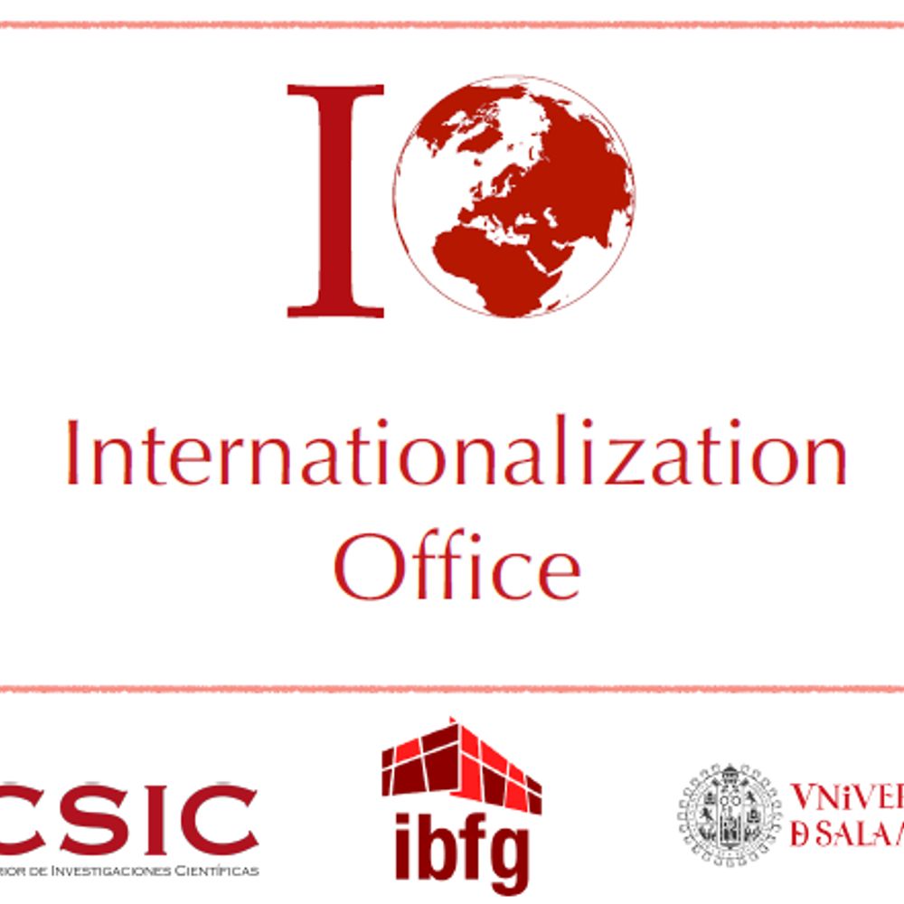 Internationalization Office - IBFG