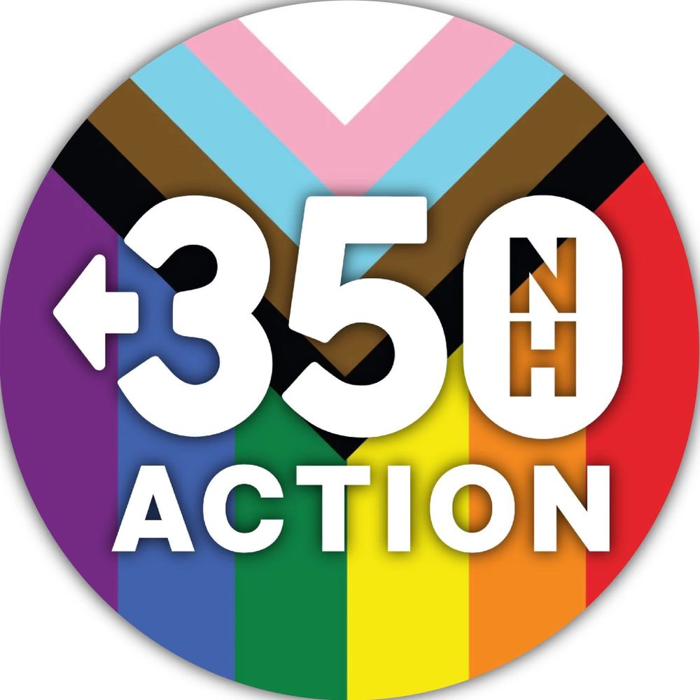 350 New Hampshire Action