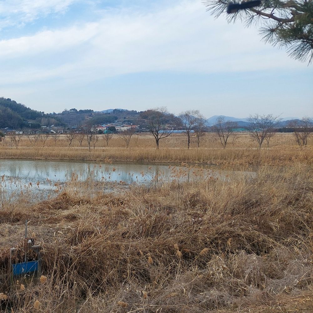 고기가먹고싶어