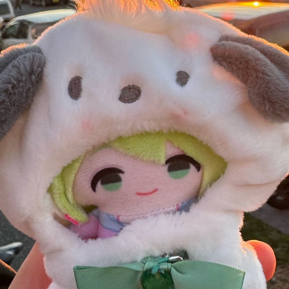 こたん🐻‍🌼