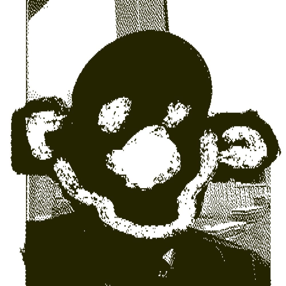 Jimmmm Petteril