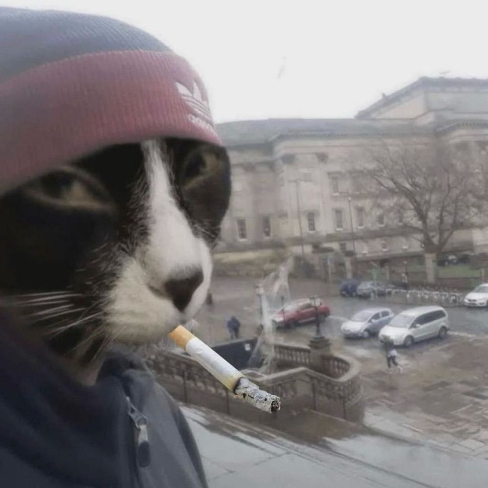luca
