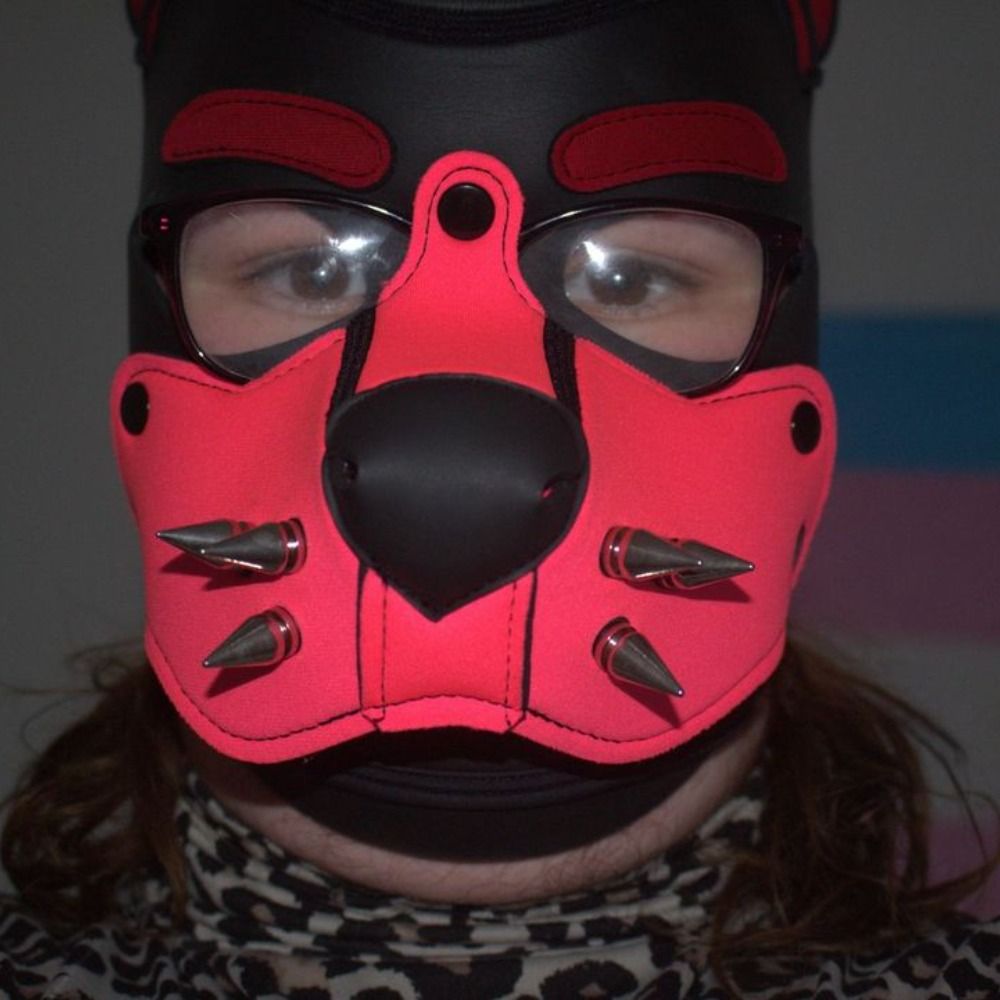 Pup Bandit
