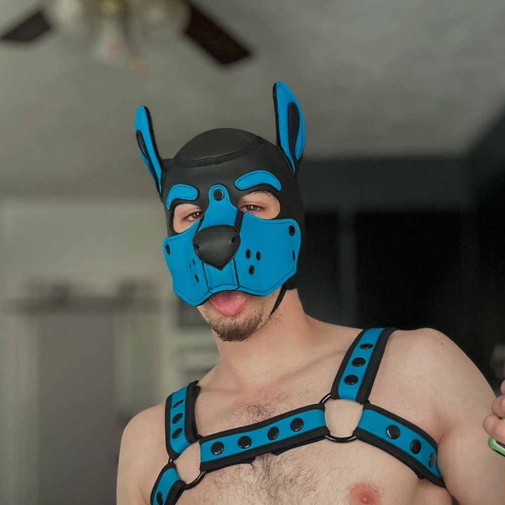 Scott Pitou 🐶