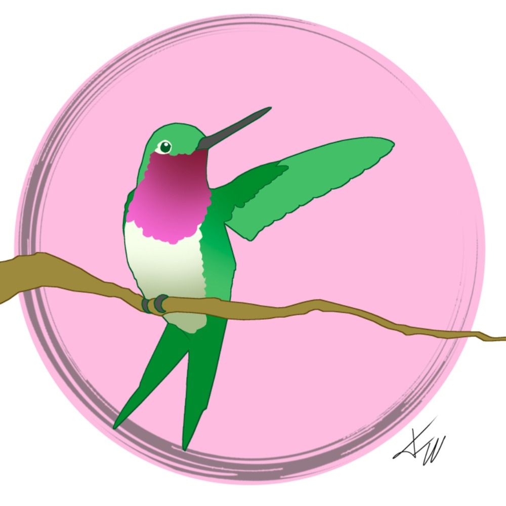 FastWinger Illustrations