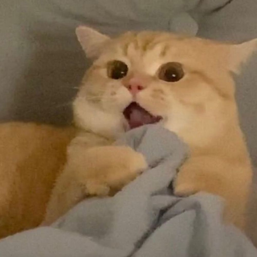 망지