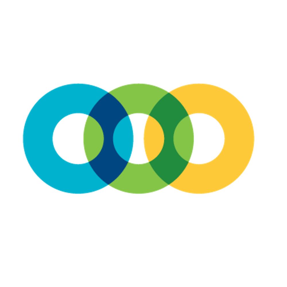 Toronto Foundation