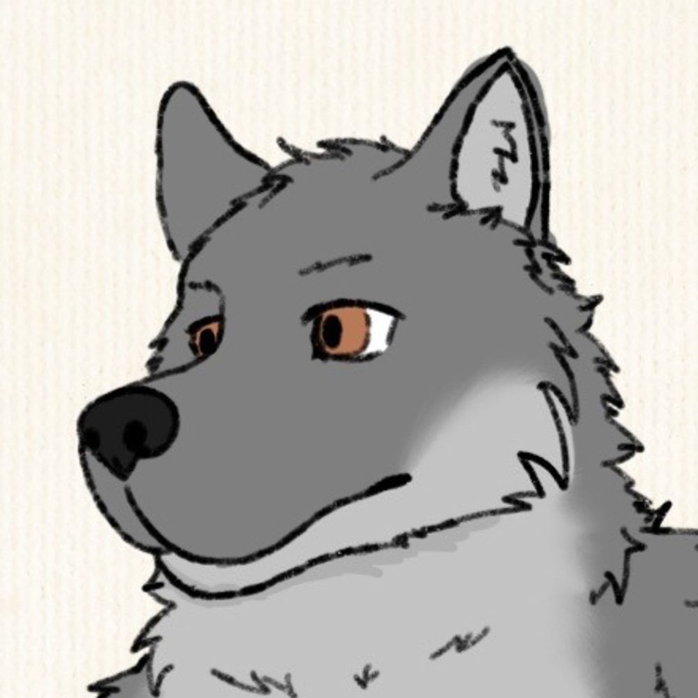 Copper the Wolf