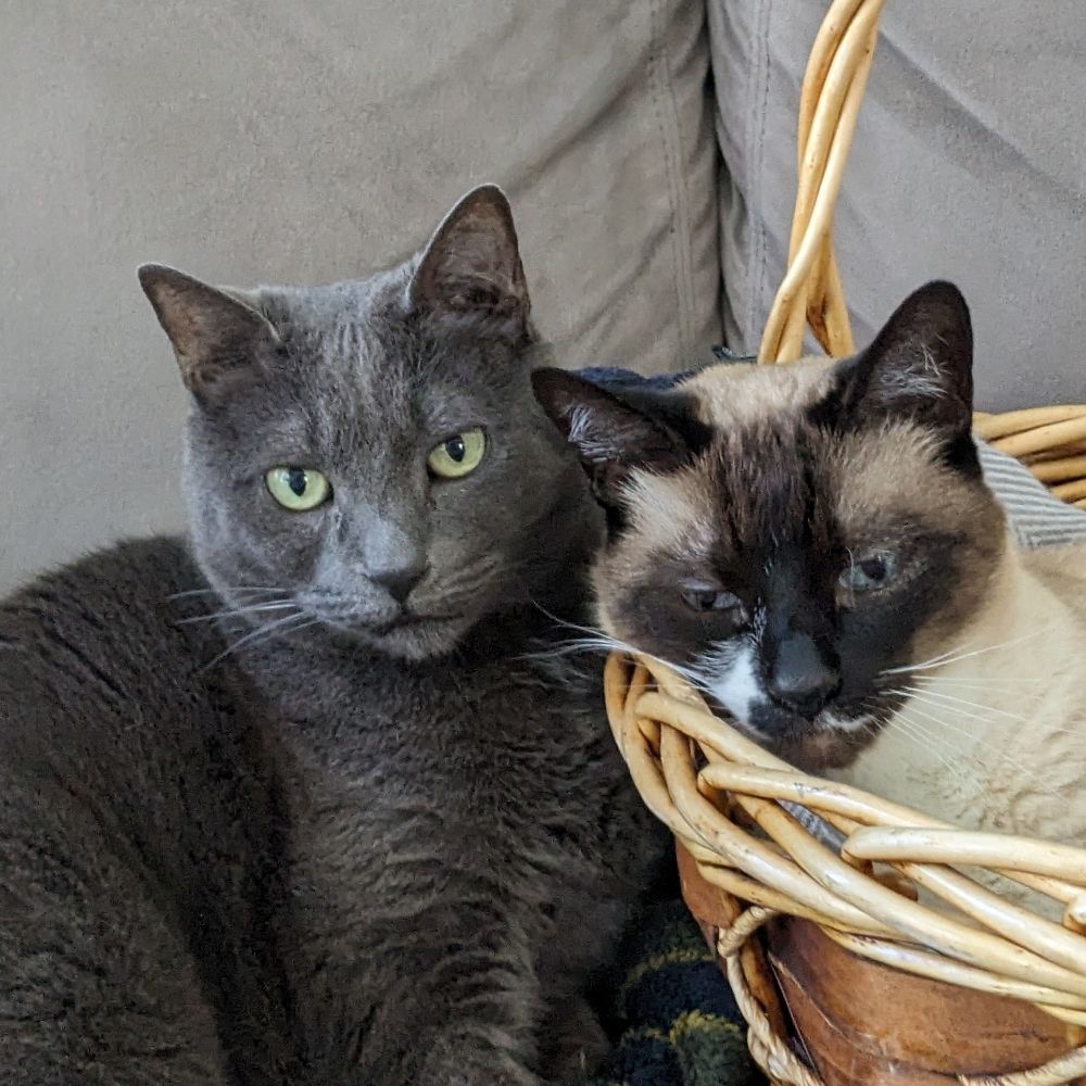 Otter and Walter