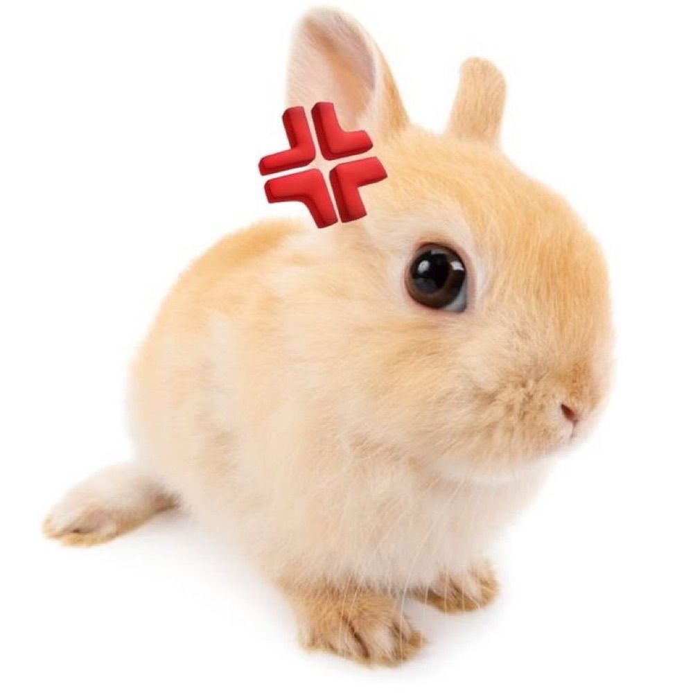 bunnified