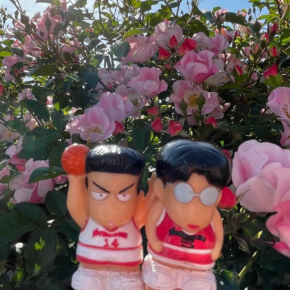 ひまり