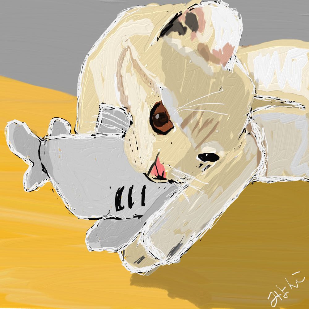 さまあ