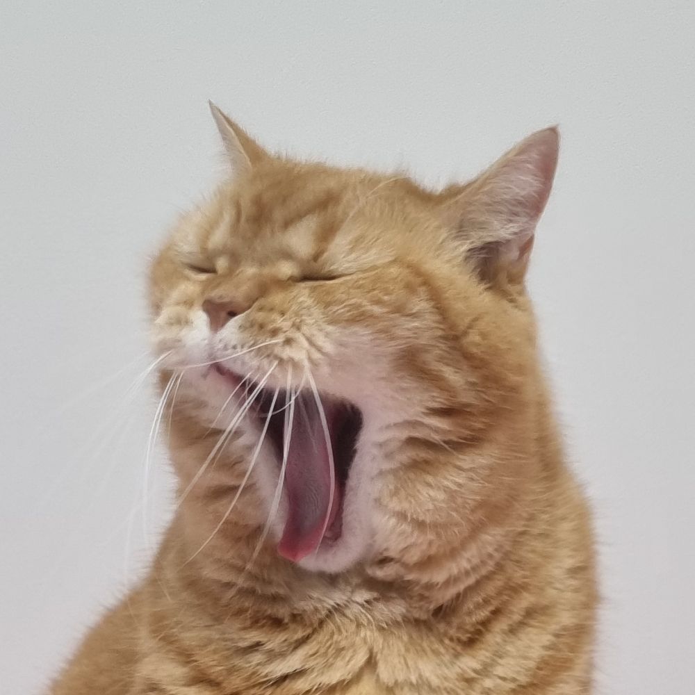 졍철