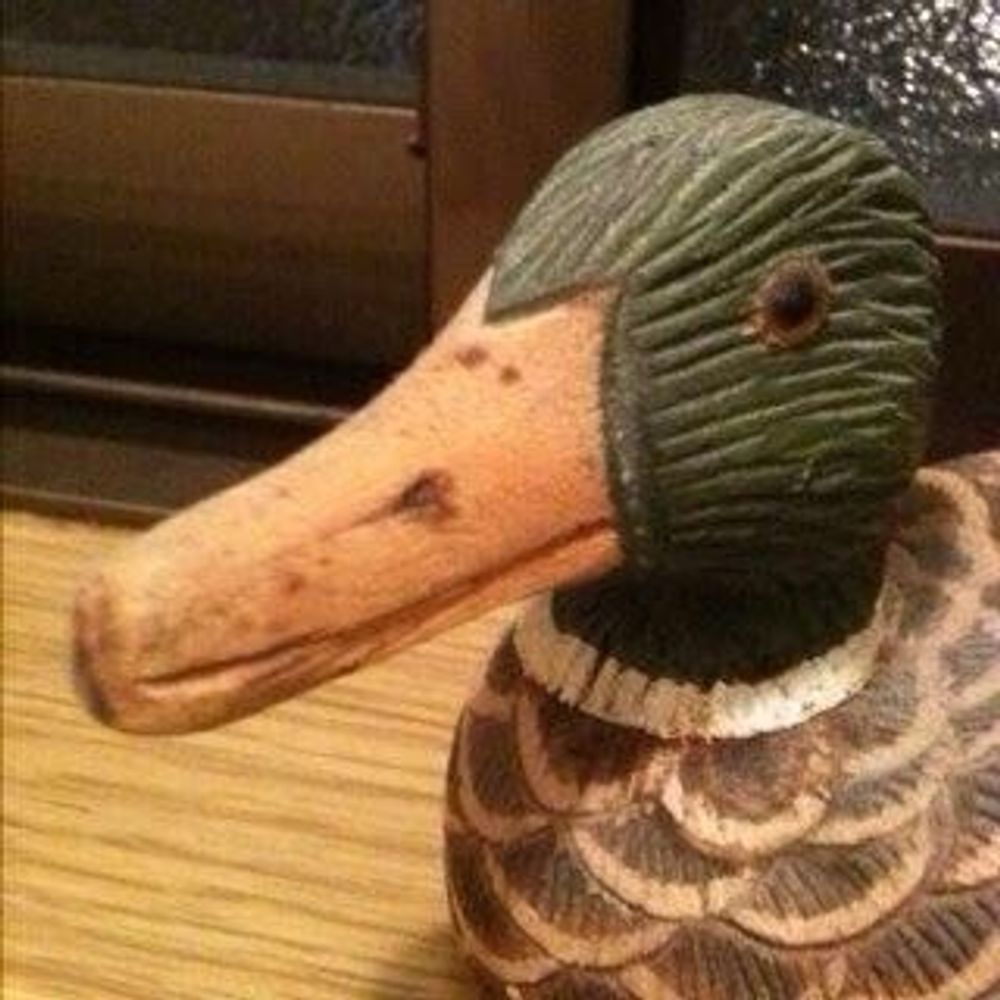ひき
