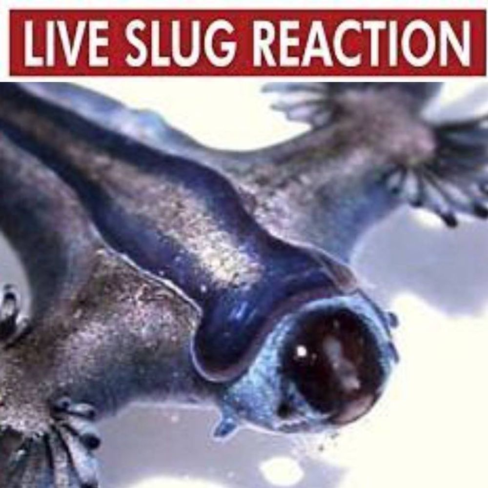Basically A Slug