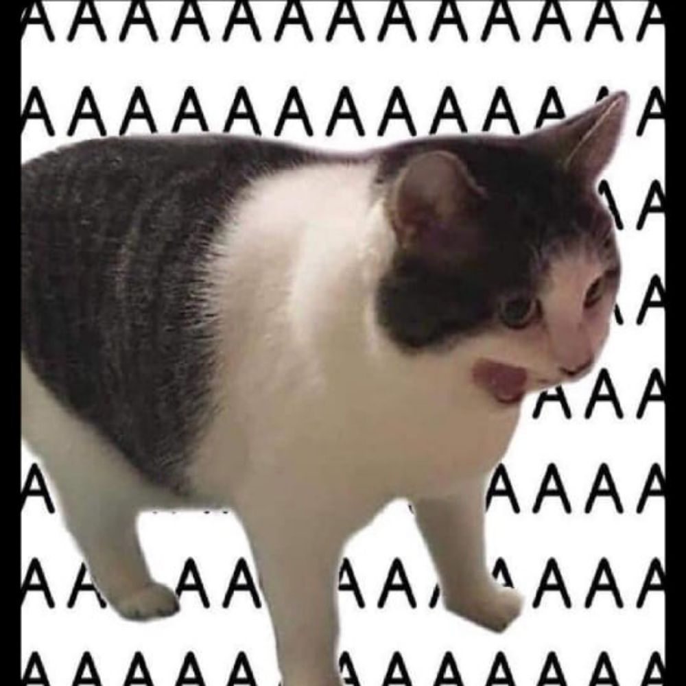 Cataaa