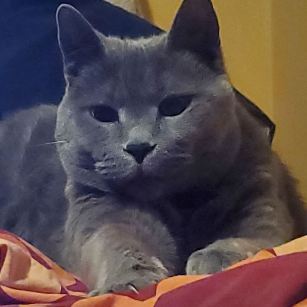 Luna Silverwind