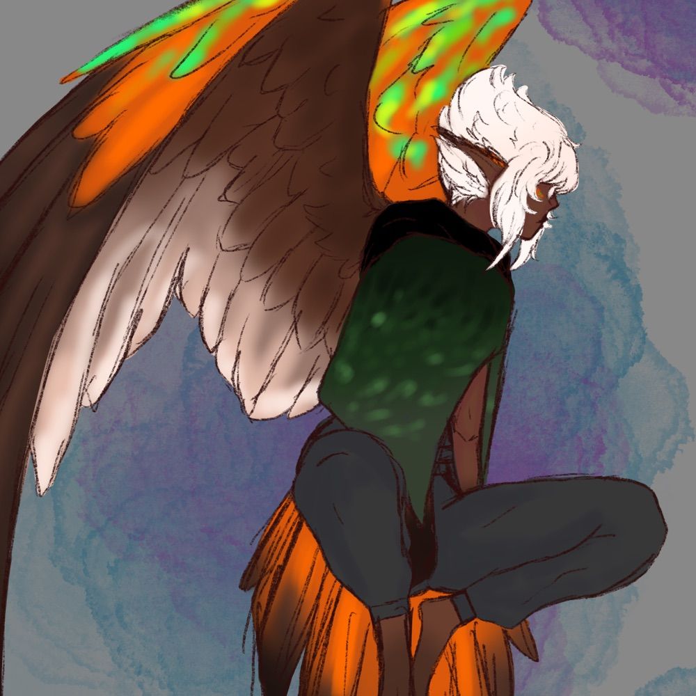 Moth