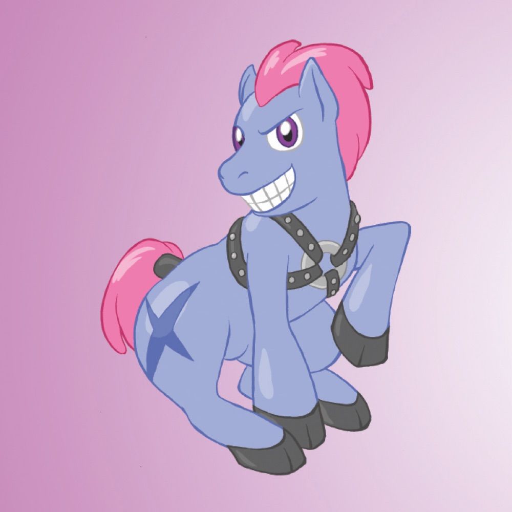 PonyBoyExpress.com