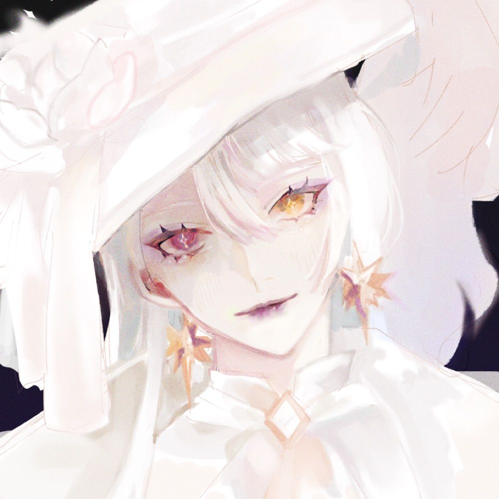 ✧ risa ⊹. ݁