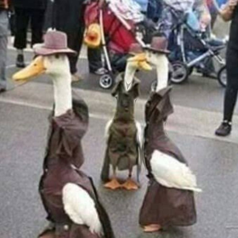 Agente patogênico 