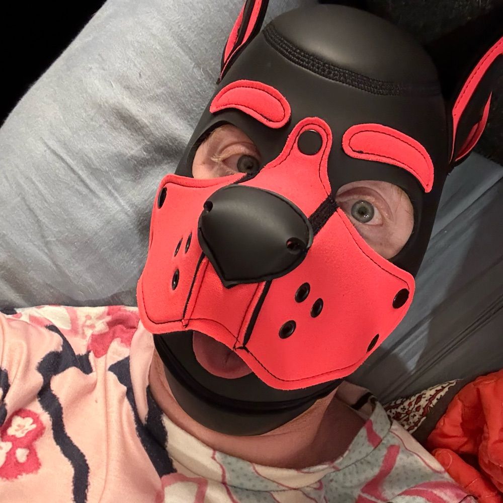 Pup Ember