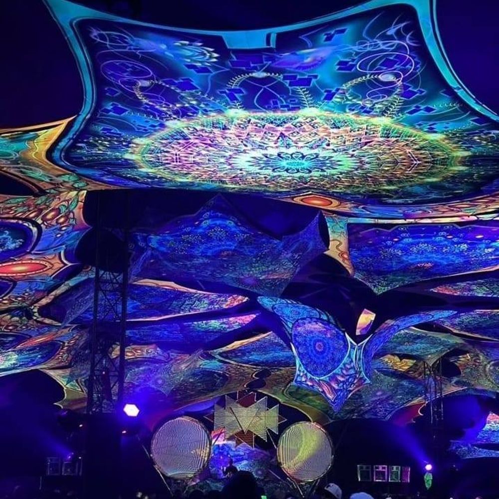 Frenetic Frequency
