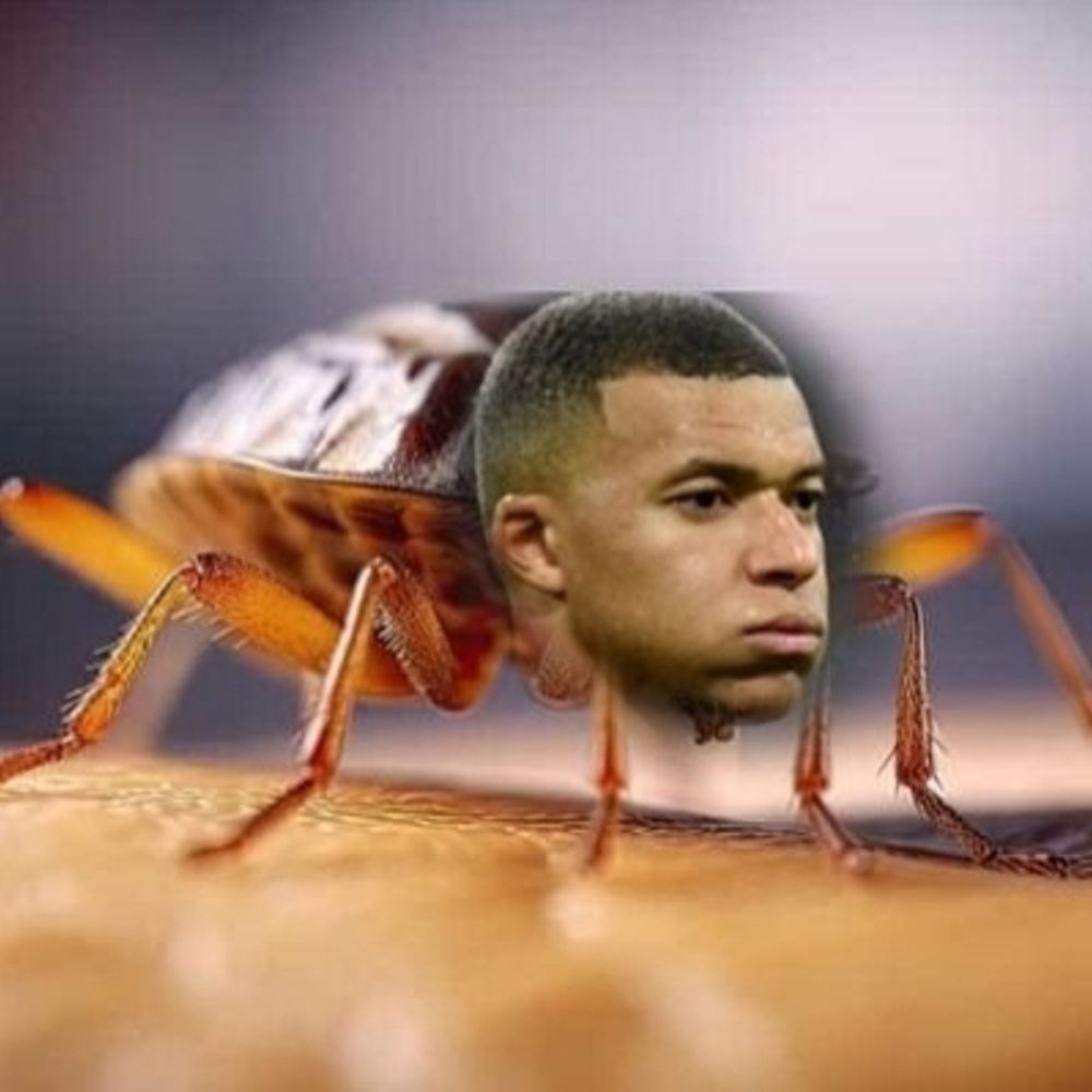 🇨🇵 Mbedbug Sensei | 11x🏆