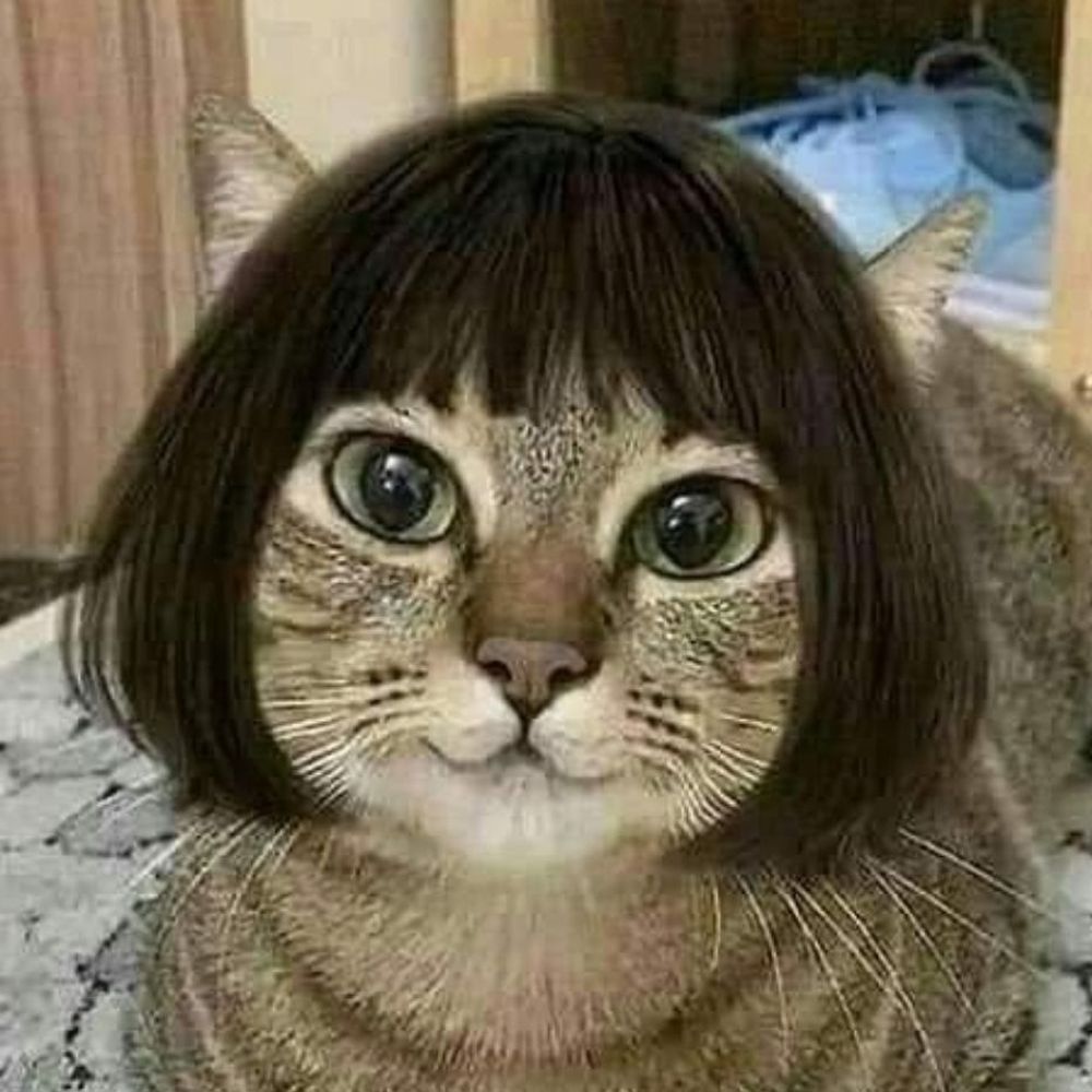 ironpuss.bsky.social profile picture