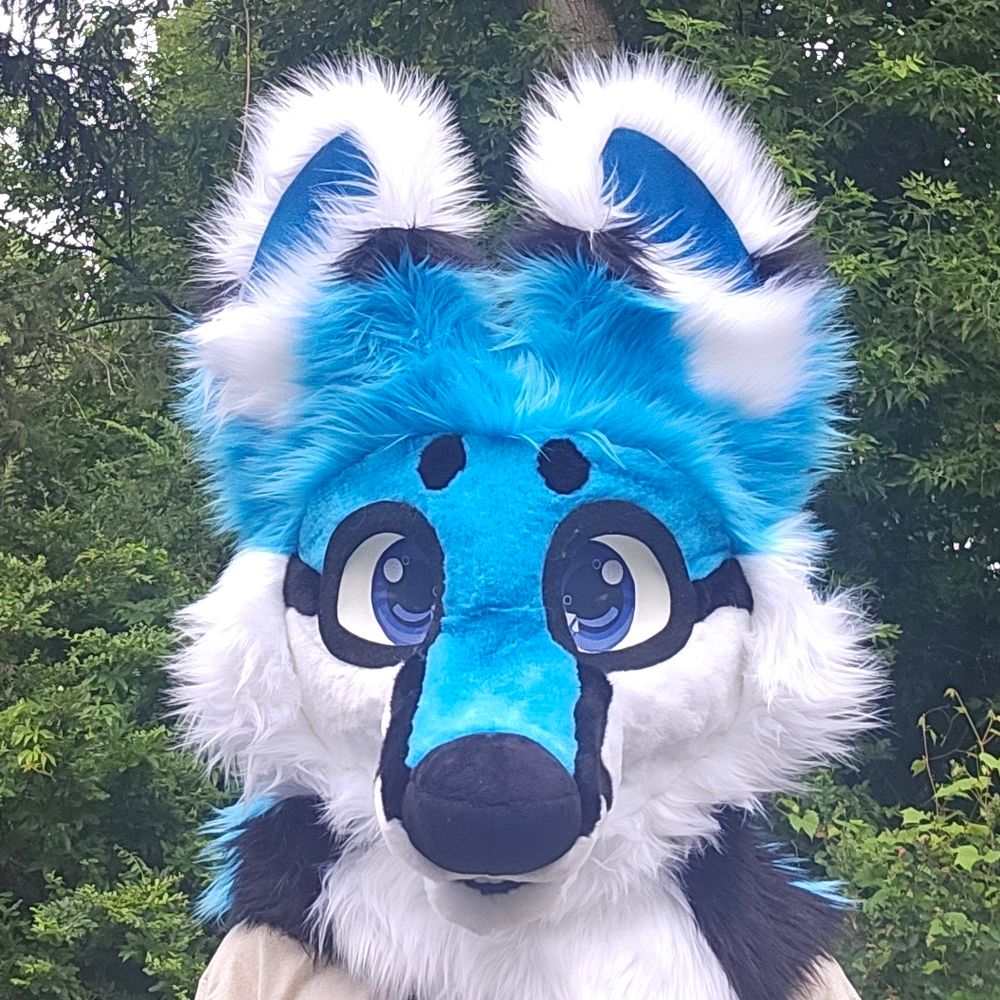 Breezy Paws