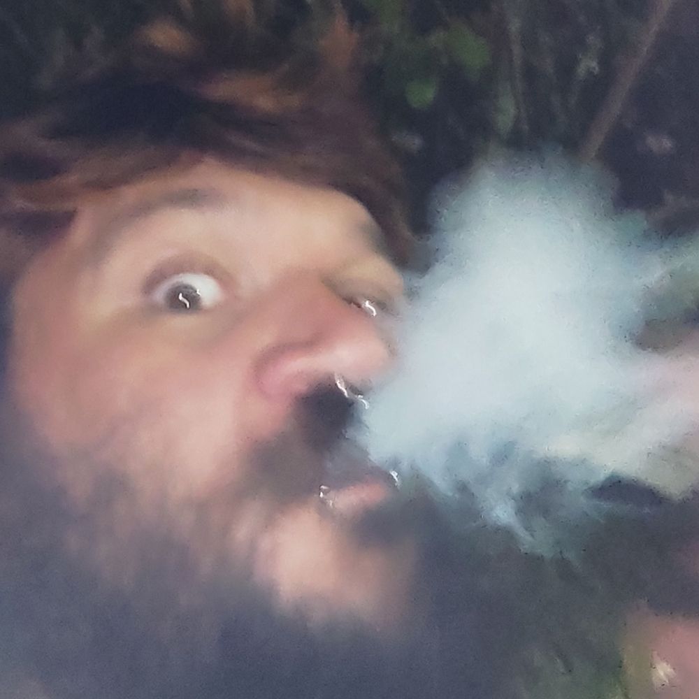 dom urso bear fofo puto df 420 bsb