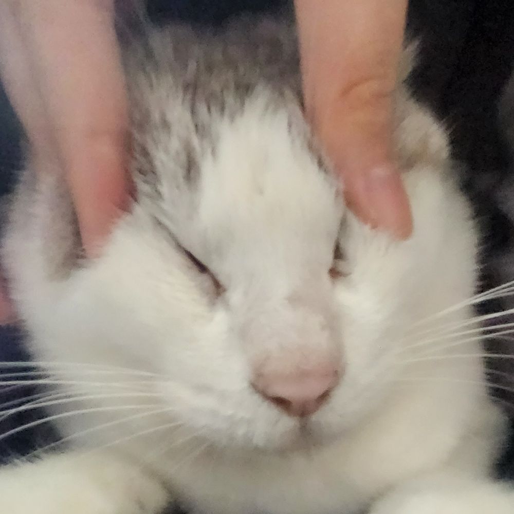 💜앙큼소이상큼츄💚
