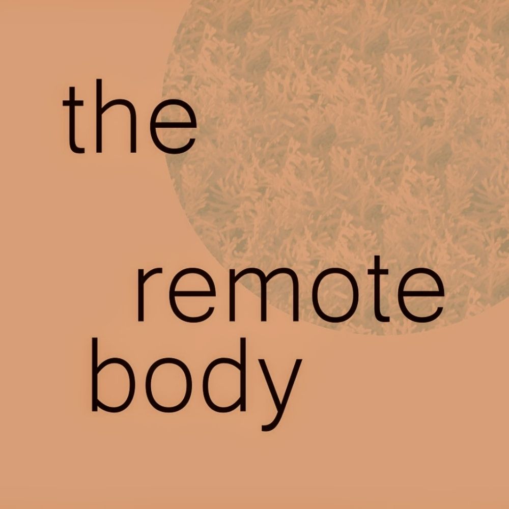 the remote body