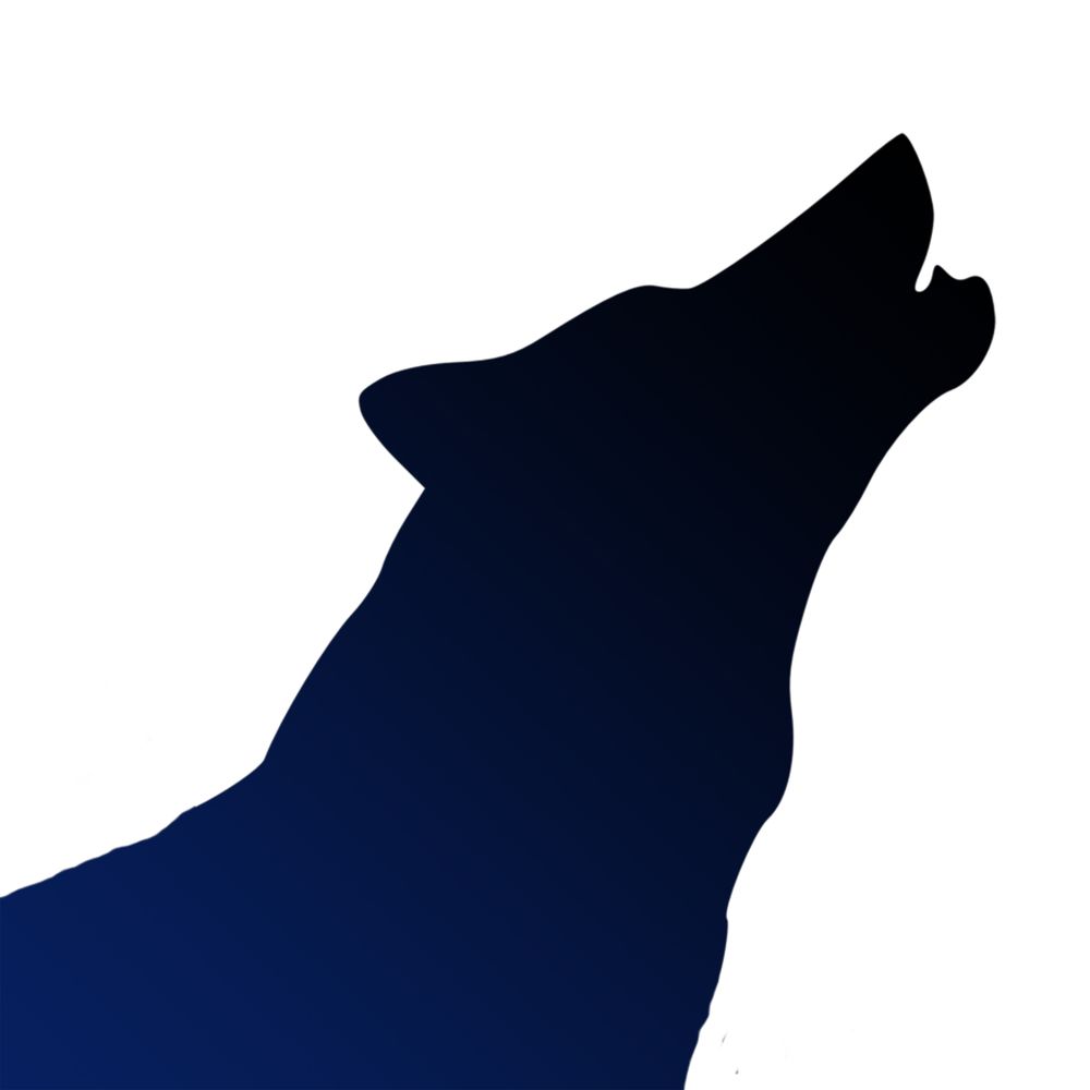 Lone Wandering Wolf