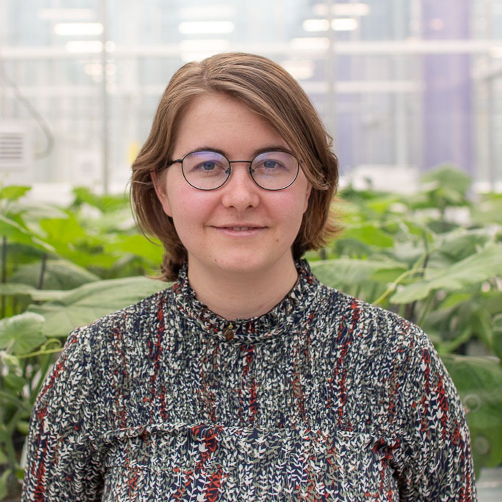 Eline Eggermont